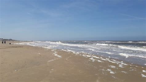 amsterdam nude beach|Nude Beach at the far end Paal 67.